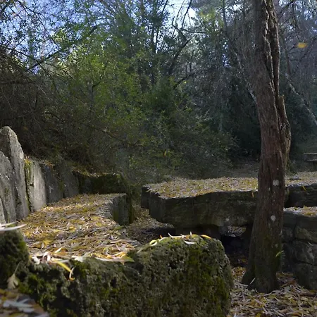 Tejadillos Cuenca