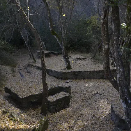 Tejadillos * Cuenca